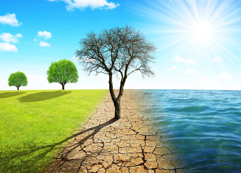 O que é a crise climática e suas consequências? - Ecycle